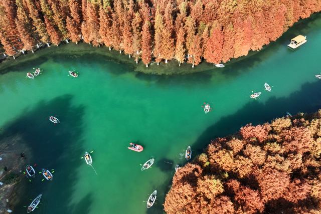 (251206) -- BEIJING, Dec. 6, 2025 (Xinhua) -- An aerial drone photo taken on Dec. 6, 2025 shows people taking boats for sightseeing at a water forest in Changzhou, east China's Jiangsu Province. (Photo by Chen Wei/Xinhua)
