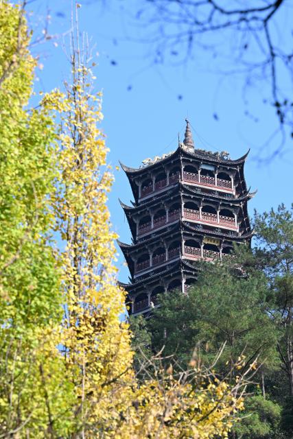(251206) -- CHENGDU, Dec. 6, 2025 (Xinhua) -- This photo taken on Nov. 30, 2025 shows Yulei pavilion at Dujiangyan scenic area in Chengdu, southwest China's Sichuan Province. The Dujiangyan irrigation system, characterized by dam-free water diversion, was built in 256 BC and is the oldest, the only remaining grand water conservancy project in the world, which has withstood the tests of natural disasters such as floods and earthquakes, and is still in use today. 
   A "fish-mouth" shaped weir splits the Minjiang River into an inner channel for irrigation and an outer channel for discharge of flood water. 
   It was listed as a World Cultural Heritage by the United Nations in November 2000, and was listed as a World Irrigation Engineering Heritage in August 2018. (Xinhua/Xu Bingjie)