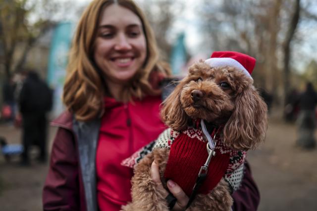 (251207) -- BUDAPEST, Dec. 7, 2025 (Xinhua) -- A dog and its owner participate in an annual "Santa Dog Walk" event at the City Park in Budapest, Hungary on Dec. 6, 2025. The Christmas-themed event brings together dog owners from across the city for a seasonal walk, promoting responsible pet ownership and encouraging outdoor activities for families and their pets. (Photo by David Balogh/Xinhua)