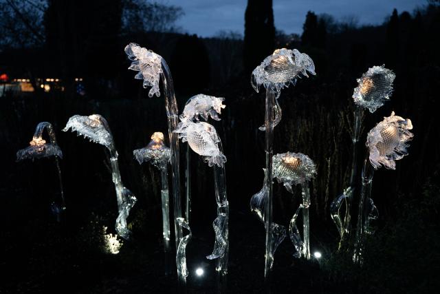 (251208) -- PRAGUE, Dec. 8, 2025 (Xinhua) -- A glass installation is pictured during the exhibition "Crystal Garden: A Glass Symphony" at the Prague Botanical Garden in Prague, the Czech Republic, Dec. 7, 2025.
  Dozens of works inspired by plants and animals are displayed during the exhibition, which stays on until Feb. 8, 2026. (Photo by Dana Kesnerova/Xinhua)