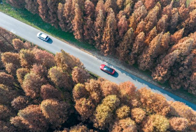 (251208) -- BEIJING, Dec. 8, 2025 (Xinhua) -- An aerial drone photo taken on Dec. 8, 2025 shows vehicles running on a county road in Huzhou City, east China's Zhejiang Province. (Photo by Tan Yunfeng/Xinhua)
