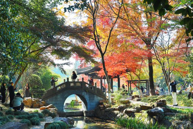 (251209) -- BEIJING, Dec. 9, 2025 (Xinhua) -- Citizens enjoy themselves at a park in Yiwu, east China's Zhejiang Province, Dec. 7, 2025. (Photo by Gong Xianming/Xinhua)
