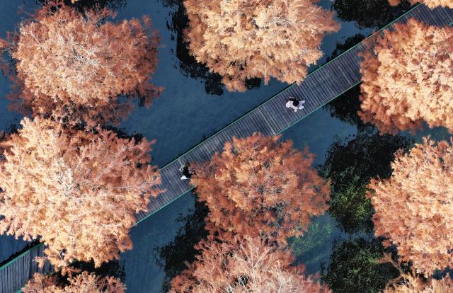 (251210) -- BEIJING, Dec. 10, 2025 (Xinhua) -- An aerial drone photo taken on Dec. 9, 2025 shows tourists at a wetland park in Yangzhou, east China's Jiangsu Province. (Photo by Meng Delong/Xinhua)