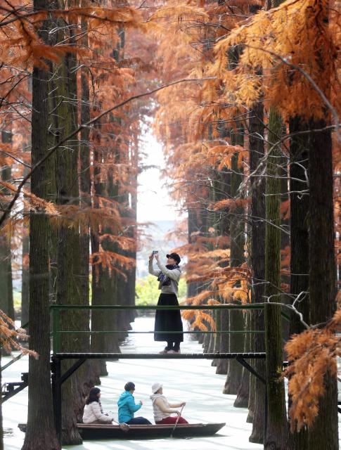 (251210) -- BEIJING, Dec. 10, 2025 (Xinhua) -- Tourists enjoy their leisure time at a wetland park in Yangzhou City, east China's Jiangsu Province, Dec. 9, 2025. (Photo by Meng Delong/Xinhua)