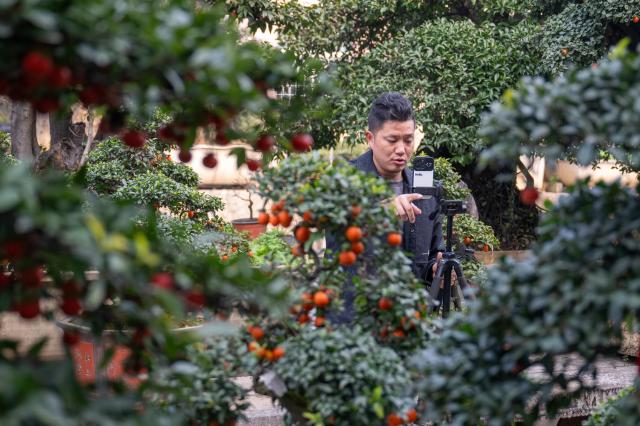 (251210) -- YICHANG, Dec. 10, 2025 (Xinhua) -- A villager sells bonsai via live-streaming in Gaojiayan Village, Gaojiayan Town, Changyang Tujia Autonomous County, Yichang, central China's Hubei Province, on Dec. 10, 2025. Gaojiayan Town began its bonsai cultivation industry in the 1980s. In recent years, it has tapped online resources in broadening bonsai retailing channels. In 2024, the town's bonsai products sold for over 150 million yuan (about 21.24 million U.S. dollars). At present, more than 5,000 people are working in the local bonsai industry. (Xinhua/Du Zixuan)
