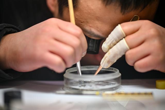 (251210) -- TIANJIN, Dec. 10, 2025 (Xinhua) -- A craftsman cleans a watch part at a shop in the "repair alley" in north China's Tianjin, Dec. 9, 2025. A "repair alley" established in June 2024 has become a lively hub for neighborhood-friendly repair services in Tianjin. In this dedicated zone, local residents have easy access to daily services such as knife sharpening, darning, locksmiths and watch repair. (Xinhua/Zhang Cheng)