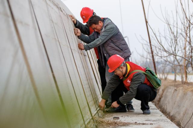 (251211) -- BEIJING, Dec. 11, 2025 (Xinhua) -- Volunteers from a power supply company help villagers reinforce the greenhouses in Suixian County of Shangqiu City, central China's Henan Province, Dec. 10, 2025.
  The National Meteorological Center on Wednesday issued a blue alert for a cold wave and a separate blue alert for strong winds, forecasting a widespread drop in temperatures and the first large-scale snowfall this winter across northern China over the next few days. (Photo by Xu Zeyuan/Xinhua)