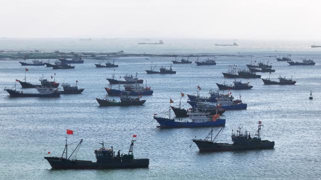 (251211) -- BEIJING, Dec. 11, 2025 (Xinhua) -- Fishing boats berth at a port at Zhifu Bay Area of Yantai Port in east China's Shangdong Province, Dec. 11, 2025.
  The National Meteorological Center on Wednesday issued a blue alert for a cold wave and a separate blue alert for strong winds, forecasting a widespread drop in temperatures and the first large-scale snowfall this winter across northern China over the next few days. (Photo by Tang Ke/Xinhua)