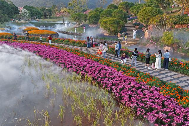 (251212) -- BEIJING, Dec. 12, 2025 (Xinhua) -- A drone photo taken on Nov. 26, 2025 shows tourists viewing flowers at the Qingxiu Mountain scenic area in Nanning, south China's Guangxi Zhuang Autonomous Region. (Xinhua/Zhou Hua)