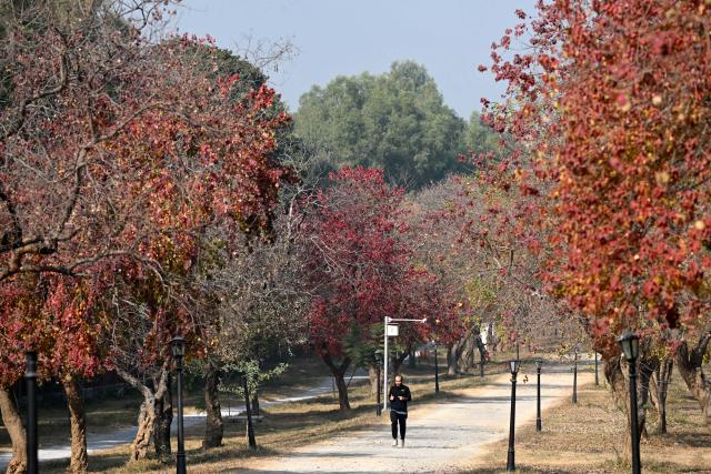 (251212) -- ISLAMABAD, Dec. 12, 2025 (Xinhua) -- This photo taken on Dec. 12, 2025 shows a man running at the Fatima Jinnah Park in Islamabad, capital of Pakistan. (Xinhua/Ahmad Kamal)
