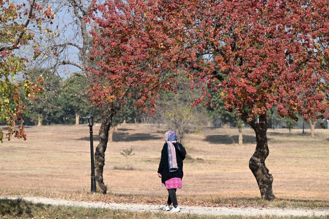 (251212) -- ISLAMABAD, Dec. 12, 2025 (Xinhua) -- This photo taken on Dec. 12, 2025 shows a woman walking at the Fatima Jinnah Park in Islamabad, capital of Pakistan. (Xinhua/Ahmad Kamal)