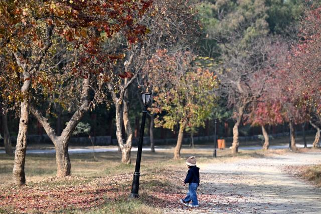 (251212) -- ISLAMABAD, Dec. 12, 2025 (Xinhua) -- This photo taken on Dec. 12, 2025 shows a girl enjoying the winter scenery at the Fatima Jinnah Park in Islamabad, capital of Pakistan. (Xinhua/Ahmad Kamal)