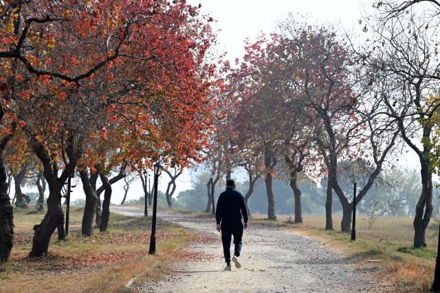 (251212) -- ISLAMABAD, Dec. 12, 2025 (Xinhua) -- This photo taken on Dec. 12, 2025 shows a man walking at the Fatima Jinnah Park in Islamabad, capital of Pakistan. (Xinhua/Ahmad Kamal)