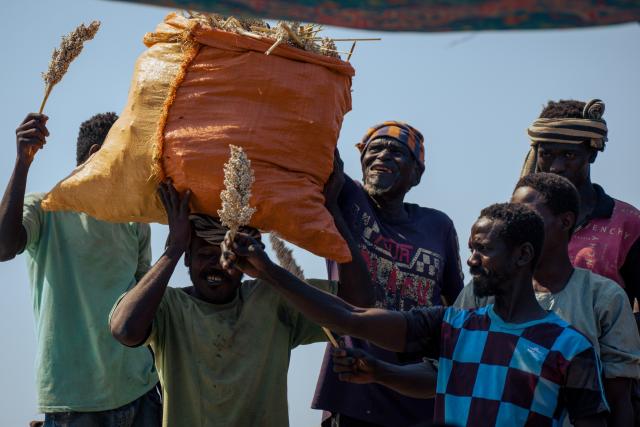 (251212) -- KASSALA, Dec. 12, 2025 (Xinhua) -- Farmers carry sorghum in a sack in the Wad Al-Hilu area in Kassala State in eastern Sudan, Dec. 12, 2025. As the sorghum harvest began in eastern Sudan's Kassala State, farmers in the Wad Al-Hilu area found rare cause for joy amid years of relentless conflict. (Photo by Tariq Ishaq Musa/Xinhua)