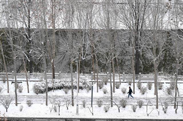 (251213) -- BEIJING, Dec. 13, 2025 (Xinhua) -- A person walks at a park after snow in Shijiazhuang, north China's Hebei Province, Dec. 13, 2025. (Photo by Chen Qibao/Xinhua)
