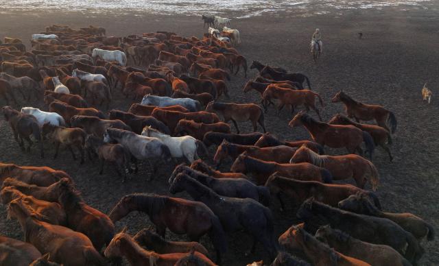 (251214) -- KAYSERI, Dec. 14, 2025 (Xinhua) -- An aerial drone photo taken on Dec. 13, 2025 shows a herd of wild horses at Sultan Reedy National Park in Kayseri, Türkiye. (Mustafa Kaya/Handout via Xinhua)