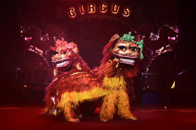 (251214) -- BAKU, Dec. 14, 2025 (Xinhua) -- A performance is staged by China's Liaocheng Acrobatic Troupe in Baku, Azerbaijan, Dec. 13, 2025.
  The Liaocheng Acrobatic Troupe from east China's Shandong Province staged its debut performance here on Saturday, wowing crowds with stunning acrobatic skills. (Xinhua/Chen Junfeng)