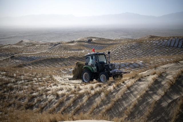 (251214) -- JIUQUAN, Dec. 14, 2025 (Xinhua) -- A staff member drives a tractor to transport materials for sand barriers in Kumtag Desert in Kazak Autonomous County of Aksay, northwest China's Gansu Province, Dec. 13, 2025. Covering a total area of 222,000 mu (14,800 hectares), a water conservation, ecological protection and restoration project is underway here, with sub-projects including sand fixation and afforestation. (Photo by Gao Hongshan/Xinhua)