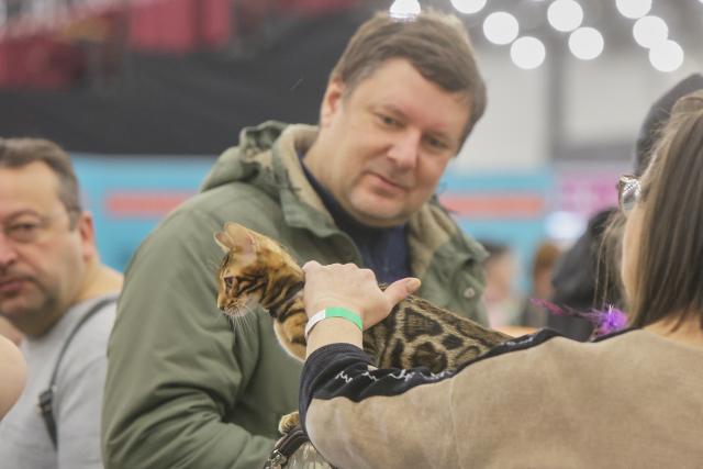 (251215) -- ST. PETERSBURG, Dec. 15, 2025 (Xinhua) -- A visitor pets a cat at the 2025 Pet Show in St. Petersburg, Russia, Dec. 14, 2025. The event brings together over 3,000 dogs and 800 cats. (Photo by Irina Motina/Xinhua)