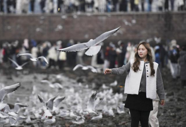 (251215) -- BEIJING, Dec. 15, 2025 (Xinhua) -- A girl interacts with a seagull at the Zhanqiao Bridge scenic spot in Qingdao, east China's Shandong Province, Dec. 13, 2025. (Xinhua/Li Ziheng)