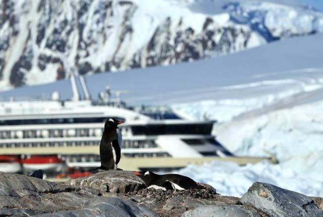 (251216) -- BEIJING, Dec. 16, 2025 (Xinhua) -- Penguins are seen with a cruise ship in the background in Antarctica, Dec. 14, 2025. The Antarctic ice and snow melt in large quantities during the height of summer, when the weather is relatively mild and the days are long. It is not only the high season for penguins to mate and hatch their chicks, but also the best time for whale watching. (Photo by Yang Shu/Xinhua)