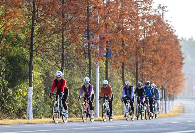 (251216) -- BEIJING, Dec. 16, 2025 (Xinhua) -- Cyclists ride on a road in Fanma Village, Wuhu City of east China's Anhui Province, Dec. 7, 2025. (Photo by Xiao Benxiang/Xinhua)