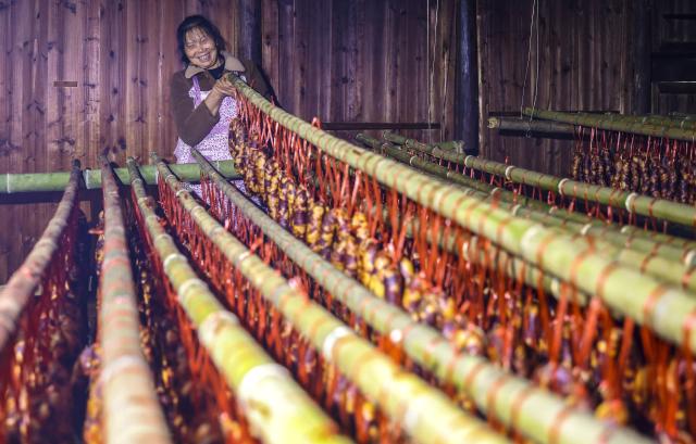(251216) -- BEIJING, Dec. 16, 2025 (Xinhua) -- A villager makes sausages in Dawan Village, Tongren City of southwest China's Guizhou Province, Dec. 15, 2025. (Photo by Hu Panxue/Xinhua)