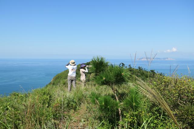 (251216) -- YANTAI, Dec. 16, 2025 (Xinhua) -- Birdwatching volunteers conduct observation on Tuoji islet, a part of Changdao National Nature Reserve in the city of Yantai, east China's Shandong Province, Sept. 13, 2025. TO GO WITH "Feature: Lost at sea, found in Africa: a red-footed falcon's legendary flight from China" (Qingdao Birdwatching Association/Handout via Xinhua)