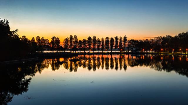 (251216) -- WUHAN, Dec. 16, 2025 (Xinhua) -- This photo taken on Nov. 19, 2025 shows the scenery in the Donghu Lake scenic area in Wuhan, central China's Hubei Province. (Xinhua/Shen Hongbing)