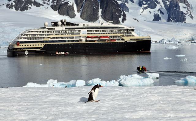 (251217) -- ANTARCTICA, Dec. 17, 2025 (Xinhua) -- A gentoo penguin is seen on Petermann Island, Antarctica, Dec. 12, 2025. (Photo by Yang Shu/Xinhua)