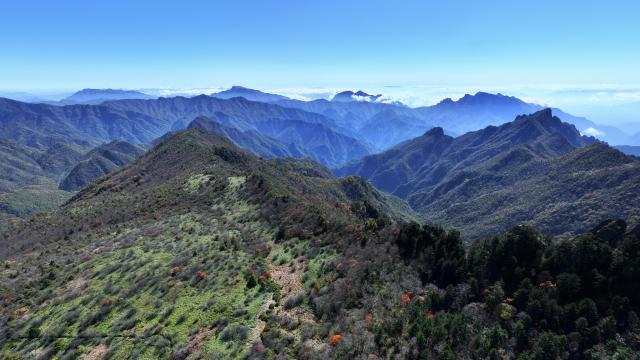 (251217) -- WUHAN, Dec. 17, 2025 (Xinhua) -- This photo taken on June 13, 2025 shows a view of Badong Golden Monkey National Nature Reserve in central China's Hubei Province. TO GO WITH "Across China: More golden hair monkeys move downhill amid better protection" (Photo by Wu Yihong/Xinhua)
