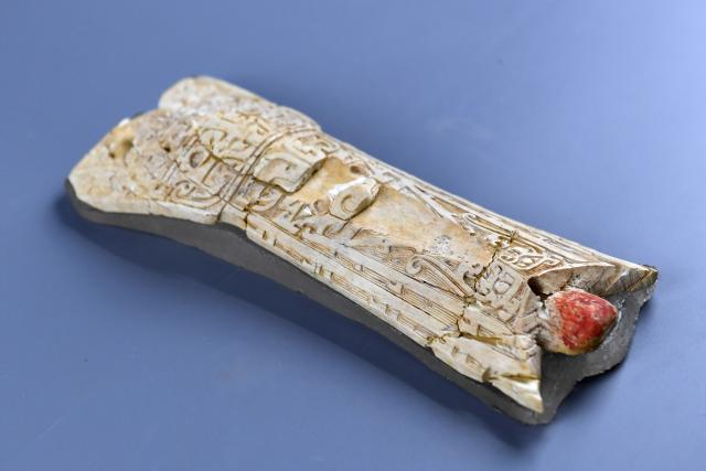 (251217) -- XI'AN, Dec. 17, 2025 (Xinhua) -- This photo taken on Dec. 8, 2025 shows a carved ivory artifact unearthed from the Zhaigou site in Qingjian County, northwest China's Shaanxi Province. The Zhaigou site, a settlement site dating back to about 3,200 years ago, was listed as one of the major field archaeological discoveries during the sixth Shanghai Archaeology Forum (SAF2025) in east China's Shanghai on Tuesday. (Xinhua/Li Yibo)