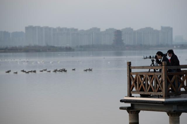 (251218) -- CHUZHOU, Dec. 18, 2025 (Xinhua) -- Photography enthusiasts take photos of migratory birds at Minghu Park in Chuzhou, east China's Anhui Province, Dec. 16, 2025. The city park has attracted many migratory birds for wintering with its good water quality, lush aquatic plants and abundant fish and shrimp resources. (Xinhua/Zhang Duan)