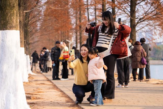 (251218) -- CHANGSHA, Dec. 18, 2025 (Xinhua) -- People visit a park, where metasequoia tree leaves have turned red, in Changsha, central China's Hunan Province, Dec. 18, 2025. (Xinhua/Chen Sihan)