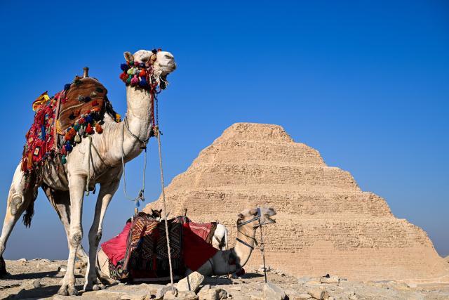 (251218) -- SAQQARA, Dec. 18, 2025 (Xinhua) -- Camels are seen in front of the Step Pyramid in the Saqqara necropolis, Giza, Egypt, Dec. 18, 2025. (Xinhua/Xin Mengchen)