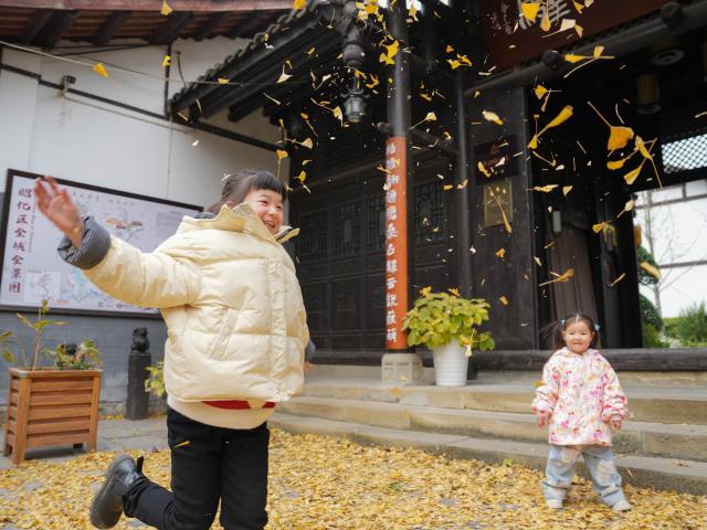 (251219) -- GUANGYUAN, Dec. 19, 2025 (Xinhua) -- Kids play under ginkgo trees in Zhaohua ancient town in Zhaohua District of Guangyuan City, southwest China's Sichuan Province, Dec. 13, 2025. Zhaohua ancient town, located in Guangyuan City of southwest China's Sichuan Province, sits at the confluence of the Bailong River, the Jialing River, and the Qingjiang River. As a well-preserved ancient town, it carries a history of over 2,300 years.
    However, due to old infrastructure and unplanned construction, the ancient town once fell into disorder with residents living in the town having to undergo various difficulties. In order to refresh the ancient town, since 2012, Zhaohua District has launched a project to preserve the villages as a whole. While improving the village environment, the preservation project brings along local rural tourism, allowing the ancient town to be revitalized through preservation. (Xinhua/Wang Xi)