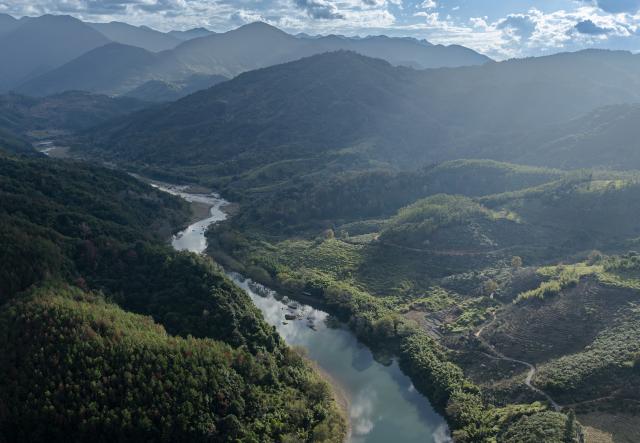 (251221) -- FUZHOU, Dec. 21, 2025 (Xinhua) -- An aerial drone photo shows a view of the Dazhang River in Yongtai County, southeast China's Fujian Province, Dec. 20, 2025. Sixteen Chinese mergansers, a national first-class protected species, were spotted wintering here. (Xinhua/Wei Peiquan)