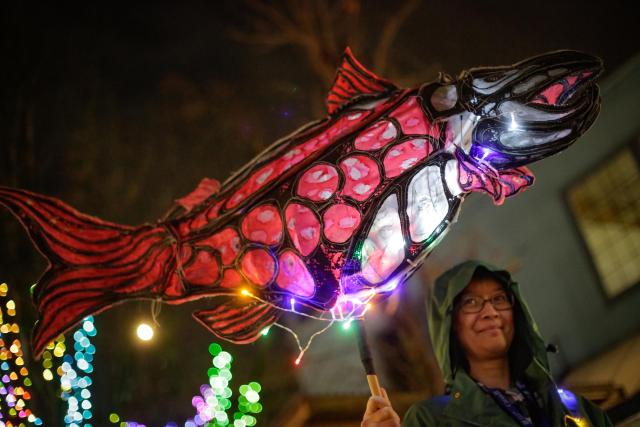 (251222) -- VANCOUVER, Dec. 22, 2025 (Xinhua) -- A woman holding a fish-shaped lantern is pictured during the Winter Solstice Lantern Festival in Vancouver, British Columbia, Canada, Dec. 21, 2025. Singing performances, lantern parades and dance activities were held here on Sunday to celebrate the Winter Solstice, which fell on Dec. 21 this year. (Photo by Liang Sen/Xinhua)