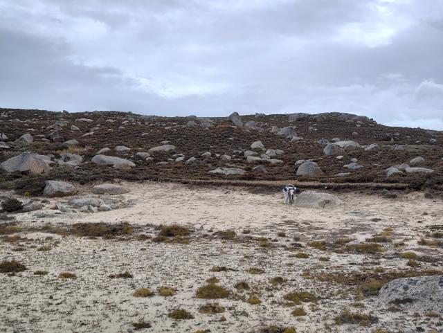 (251222) -- CHENGDU, Dec. 22, 2025 (Xinhua) -- This photo taken on Oct. 6, 2023 shows a view of the Tsungqen Co site in Daocheng County, Garze Tibetan Autonomous Prefecture, southwest China's Sichuan Province. TO GO WITH "China Focus: Chinese researchers uncover record-high evidence of ancient human activity on eastern Qinghai-Tibet Plateau" (Sichuan Provincial Cultural Relics and Archaeology Research Institute/Handout via Xinhua)