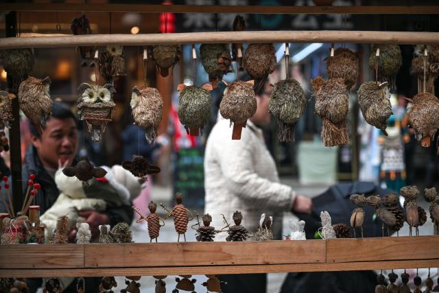 (251223) -- LIPING, Dec. 23, 2025 (Xinhua) -- Tourists shop for cultural and creative products in Zhaoxing Dong village of Liping County, southwest China's Guizhou Province, Dec. 19, 2025.
  Zhaoxing Dong village, home to a captivating cultural landscape, has seen an influx of tourists as the Dong New Year approaches.
  In recent years, the local government has leveraged the village's rich Dong ethnic cultural resources in developing the tourism industry.
  Boosted by tourism and other feature industries, the local Dong people have improved their living standards by inheriting traditional craftsmanship, developing ethnic handicrafts, launching cultural and creative products, and expanding the homestay and catering businesses. (Xinhua/Yang Wenbin)