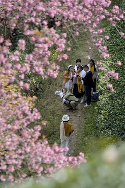 (251225) -- NANJIAN, Dec. 25, 2025 (Xinhua) -- People visit the Wuliang Mountain in Nanjian Yi Autonomous County, southwest China's Yunnan Province, Dec. 24, 2025. (Xinhua/Liu Lianfen)