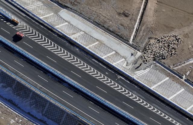 (251225) -- URUMQI, Dec. 25, 2025 (Xinhua) -- An aerial drone photo taken on Dec. 23, 2025 shows a herdsman driving sheep on the side of Urumqi-Yuli Expressway in Hejing County, northwest China's Xinjiang Uygur Autonomous Region. The Tianshan Shengli Tunnel, the world's longest expressway tunnel, and the Urumqi-Yuli Expressway that traverses the Tianshan Mountains via the tunnel, will be open to traffic by the end of this year, enabling a new shortcut linking southern and northern parts of Xinjiang.
  The 22.13-kilometer tunnel will reduce the time it takes to drive across the middle section of the Tianshan Mountains from several hours to about 20 minutes.
   Once operational, the travel time from the regional capital of Urumqi, north of the Tianshan Mountains, to Korla, south of the Tianshan Mountains, will be shortened from seven hours to about three hours. (Xinhua/Wang Fei)