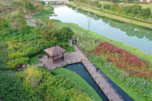 (251225) -- NANNING, Dec. 25, 2025 (Xinhua) -- An aerial drone photo taken on Dec. 25, 2025 shows people visiting Nakao River wetland park in Nanning, south China's Guangxi Zhuang Autonomous Region. (Xinhua/Lu Boan)