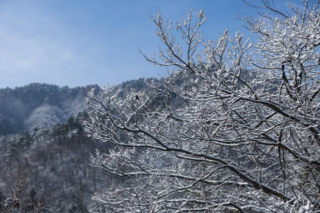(251225) -- HANGZHOU, Dec. 25, 2025 (Xinhua) -- This photo taken on Dec. 25, 2025 shows the scenery after snow in the Daming Mountain scenic area in Lin'an District of Hangzhou, east China's Zhejiang Province. Hangzhou's Daming Mountain scenic area saw snowfall under the influence of recent cold air. (Xinhua/Xu Yu)