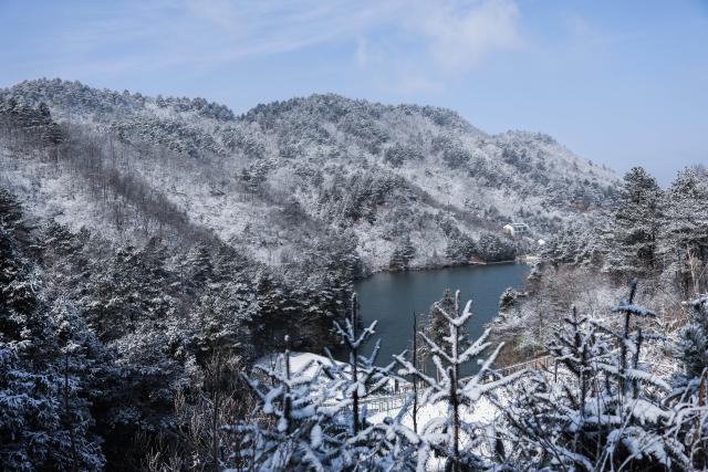 (251225) -- HANGZHOU, Dec. 25, 2025 (Xinhua) -- This photo taken on Dec. 25, 2025 shows the scenery after snow in the Daming Mountain scenic area in Lin'an District of Hangzhou, east China's Zhejiang Province. Hangzhou's Daming Mountain scenic area saw snowfall under the influence of recent cold air. (Xinhua/Xu Yu)
