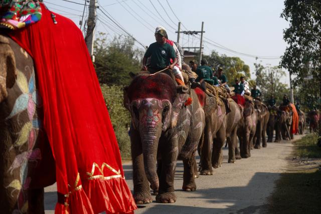 (251227) -- CHITWAN, Dec. 27, 2025 (Xinhua) -- People participate in a rally during the 19th Elephant and Tourism Festival in Chitwan, Nepal, Dec. 26, 2025. The event aims to bring human closer with elephants, encourage wildlife protection and conservation, and promote tourism in the region. (Photo by Sulav Shrestha/Xinhua)