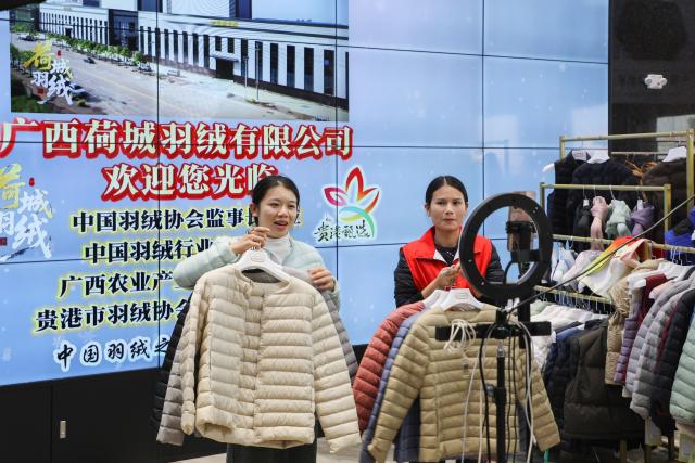 (251227) -- NANNING, Dec. 27, 2025 (Xinhua) -- This photo taken on Dec. 18, 2025 shows workers selling down jackets through a live streaming platform at a down company in Qiaoxu Town, Gangnan District of Guigang City, south China's Guangxi Zhuang Autonomous Region. Gangnan District in Guigang City of Guangxi is called "Home of down industry in China". Starting from the 1980s, the local down industry now mainly gathers in Qiaoxu Town, which after over 40 years of development, has formed a complete industrial chain covering primary feather selecting and processing, washed feather and down processing and down products making. Nowadays, there are 170 relative companies in Gangnan District, producing a total volume of feather and down of about 90,000 tonnes a year. (Xinhua/Cao Yiming)