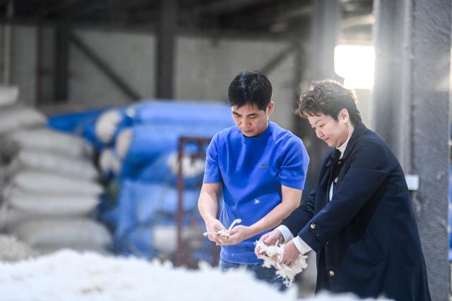 (251227) -- NANNING, Dec. 27, 2025 (Xinhua) -- This photo taken on Dec. 18, 2025 shows workers checking down materials at a down company in Qiaoxu Town, Gangnan District of Guigang City, south China's Guangxi Zhuang Autonomous Region. Gangnan District in Guigang City of Guangxi is called "Home of down industry in China". Starting from the 1980s, the local down industry now mainly gathers in Qiaoxu Town, which after over 40 years of development, has formed a complete industrial chain covering primary feather selecting and processing, washed feather and down processing and down products making. Nowadays, there are 170 relative companies in Gangnan District, producing a total volume of feather and down of about 90,000 tonnes a year. (Xinhua/Cao Yiming)