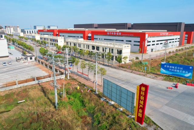 (251227) -- NANNING, Dec. 27, 2025 (Xinhua) -- This undated file photo shows the down industry park in Qiaoxu Town, Gangnan District of Guigang City, south China's Guangxi Zhuang Autonomous Region. Gangnan District in Guigang City of Guangxi is called "Home of down industry in China". Starting from the 1980s, the local down industry now mainly gathers in Qiaoxu Town, which after over 40 years of development, has formed a complete industrial chain covering primary feather selecting and processing, washed feather and down processing and down products making. Nowadays, there are 170 relative companies in Gangnan District, producing a total volume of feather and down of about 90,000 tonnes a year. (Xinhua)