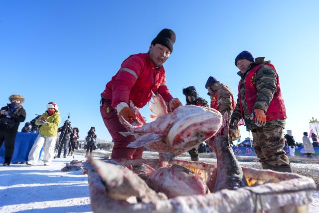 (251227) -- DAQING, Dec. 27, 2025 (Xinhua) -- This photo taken on Dec. 27, 2025 shows a winter fishing event of a Nadam fair on the frozen Lianhuan Lake in Mongolian Autonomous County of Dorbod, Daqing City, northeast China's Heilongjiang Province. An ice and snow Nadam fair featuring winter fishing kicked off here on Saturday. The integrated development fishery, and cultural and tourism industry in Dorbod has not only boosted tourism market, but also increased the income of local fishermen. (Xinhua/Wang Song)